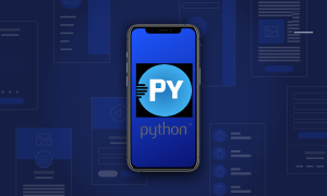 App Python Code Play là gì? Cách tải, đăng ký và sử dụng Python Code Play