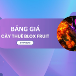 Bảng giá Cày Thuê Blox Fruit 2023 – Dịch vụ cày game Blox Fruit update mới nhất